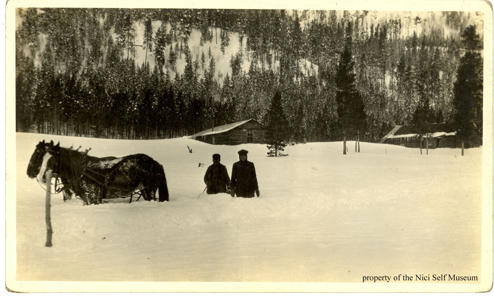 Unidentified residents and horse team in snow