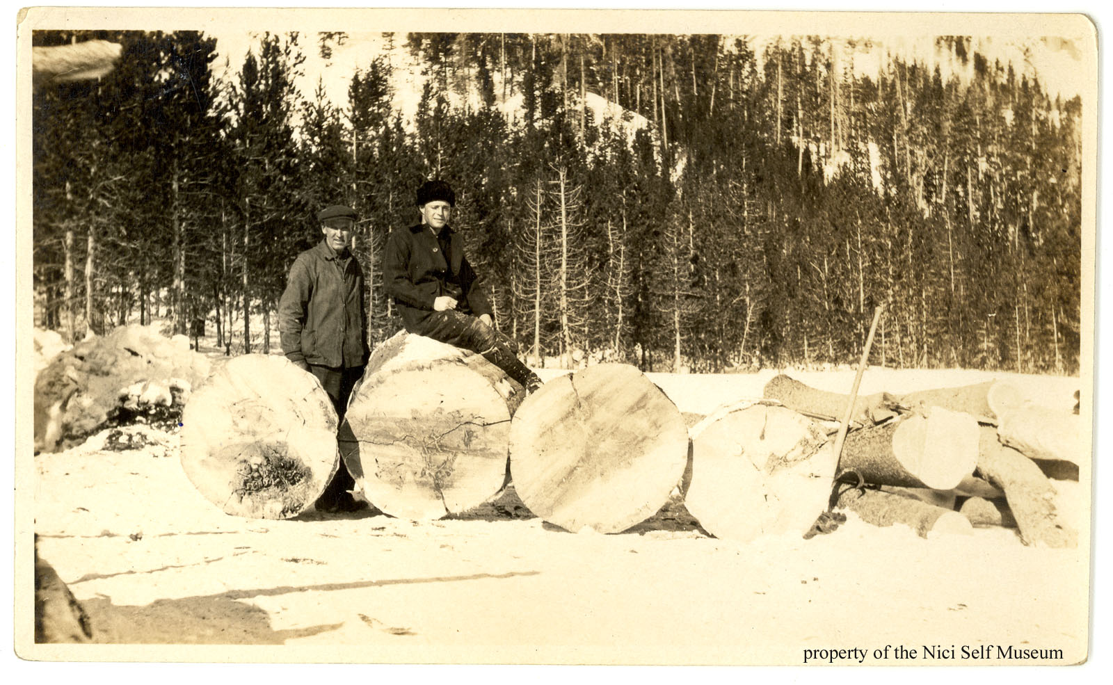 Unidentified Loggers