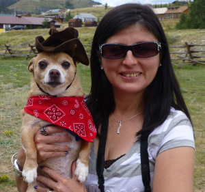 Oxie the Chihuahua