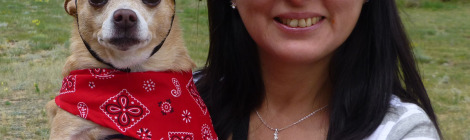 Oxie the Chihuahua